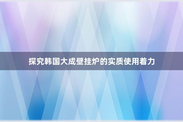 探究韩国大成壁挂炉的实质使用着力